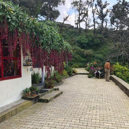 Oak Grove Inn 兰斯顿 外观 照片