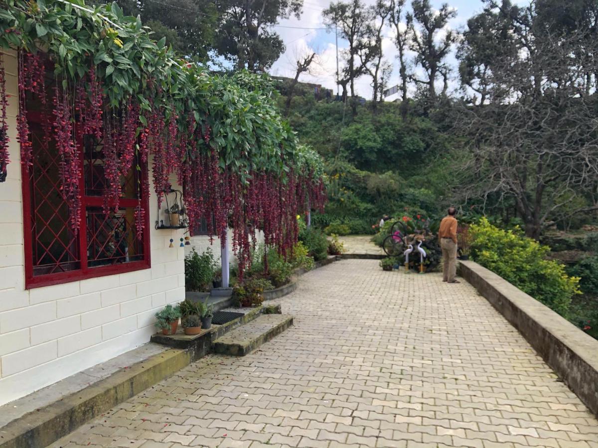 Oak Grove Inn 兰斯顿 外观 照片